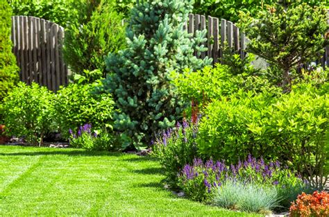 Vue aérienne d'un jardin paysager bien entretenu dans la région de Castillon-la-Bataille