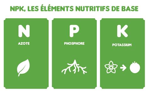 Schéma illustrant les trois éléments majeurs NPK et leur impact sur différentes parties de la plante (racines, feuillage, fleurs)