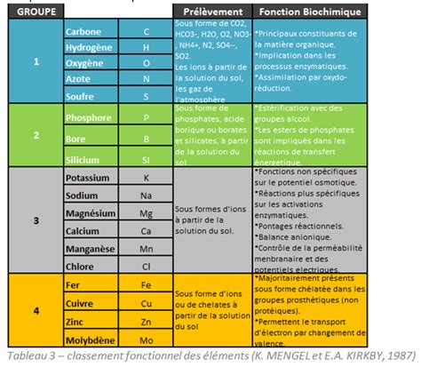 Tableau des oligo-éléments et leurs fonctions métaboliques spécifiques