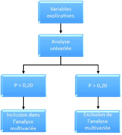 Diagramme expliquant le ratio C/N