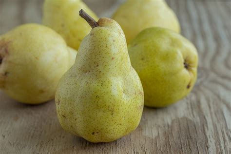 Photo d'une poire Catillac de grande taille