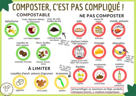 Infographie sur les déchets compostables et non compostables