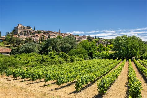 Paysage du Luberon avec champs d'oliviers et vignes