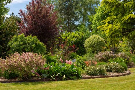Composition paysagère avec des arbustes caducs dans un jardin
