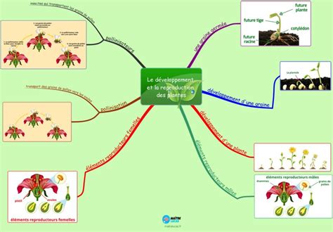 Diagramme pH-Eh et santé des plantes