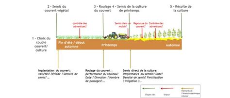 Infographie sur les avantages du semis direct et des TCS