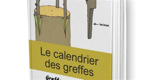 Calendrier des greffes par mois