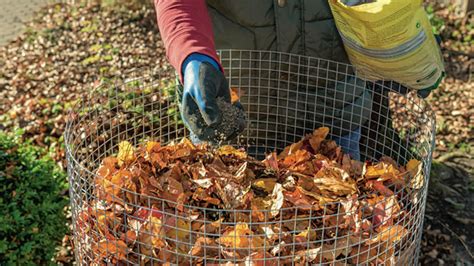 Jardinier triant des feuilles pour le compost