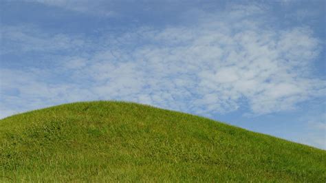 Photo d'une butte de permaculture bien établie et productive
