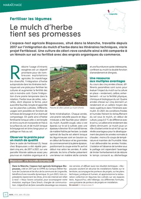 Infographie expliquant les principes du maraîchage tout-herbe