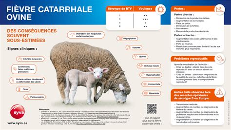 Carte des zones touchées par la fièvre catarrhale ovine en France