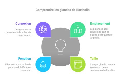 Infographie illustrant la formation d'un kyste de Bartholin