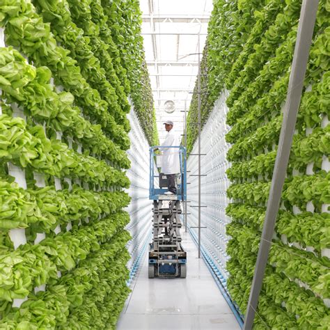 Innovation agricole : serres connectées ou agriculture verticale