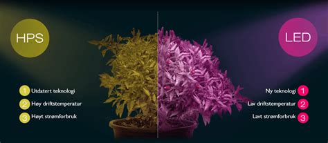 Comparaison d'efficacité lumineuse LED vs HPS