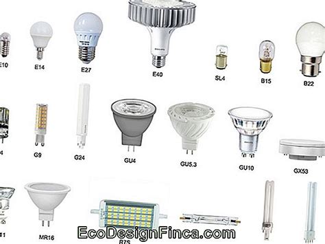Exemples de différents types de lampes horticoles