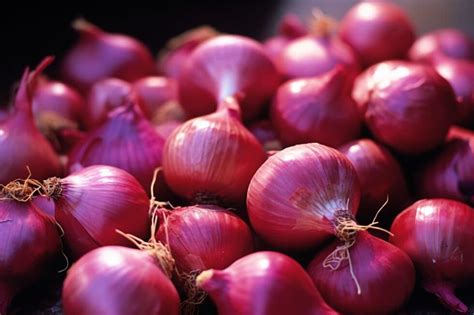Oignons rouges fraîchement récoltés