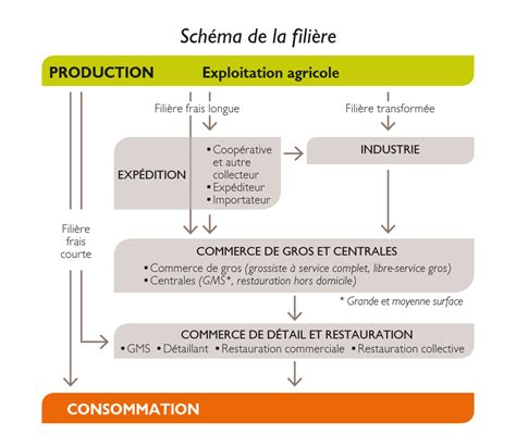 Schéma de la filière semence et plants