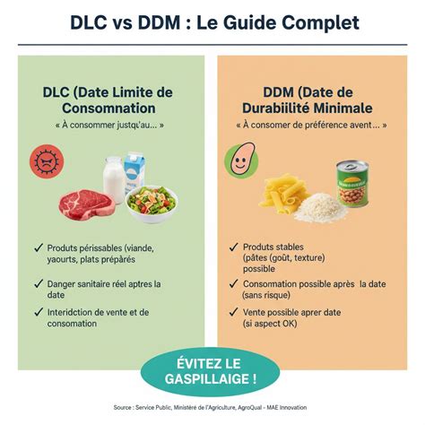 Infographie expliquant la différence entre DLC et DDM