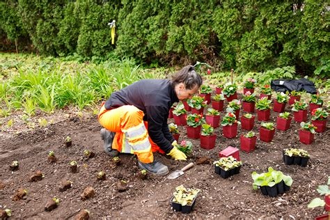 Photo d'équipe de techniciens-conseils en horticulture