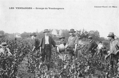 Photo ancienne de vignerons de Pupillin travaillant la vigne