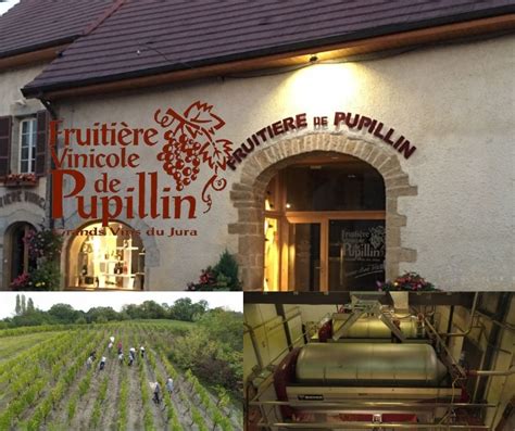 Caveau de dégustation de la Fruitière Vinicole de Pupillin
