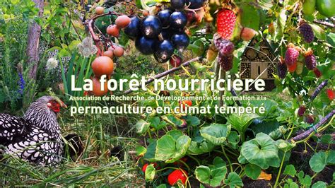 Forêt nourricière