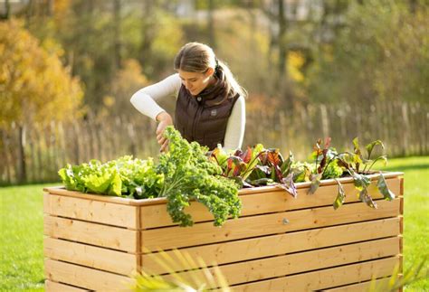 Illustration des différents types de carrés potagers surélevés