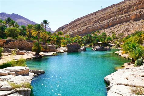Vue panoramique de l'oasis de Figuig