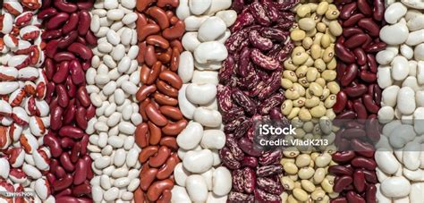 Assortiment de variétés de haricots de différentes couleurs
