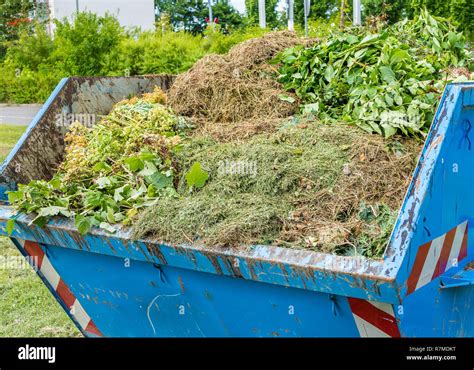 Tas de déchets verts
