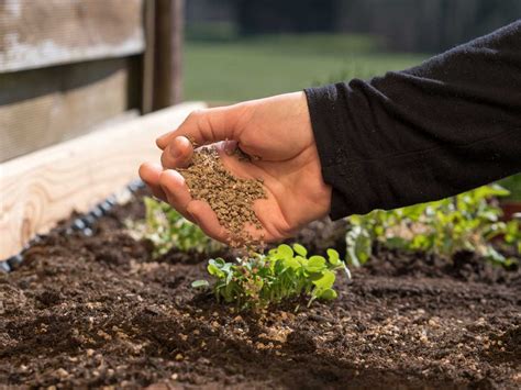 Différents engrais naturels pour les plantes