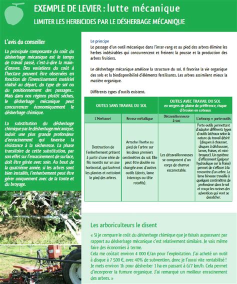Infographie sur les différentes techniques de désherbage