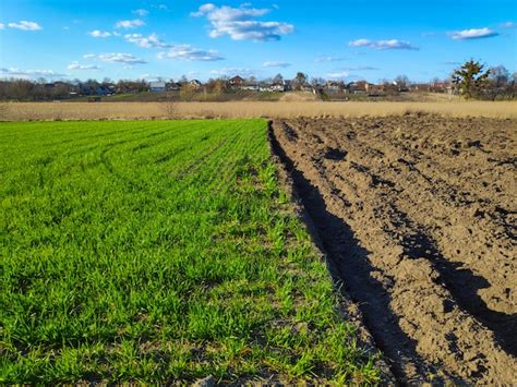 Photo d'un sol labouré et prêt à être amendé