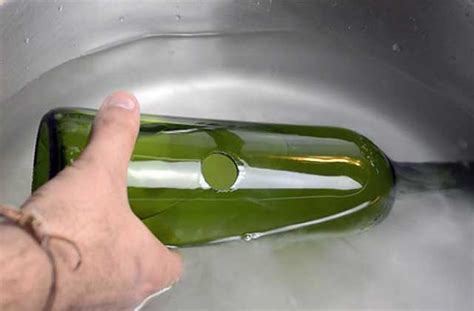 Chaton dans une bouteille en verre