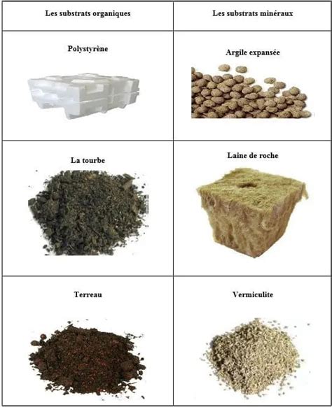 Différents types de substrats pour succulentes