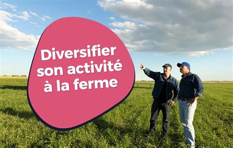 Infographie sur les aides à la diversification agricole