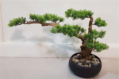 Exemple d'intégration de bonsaï artificiel dans un intérieur