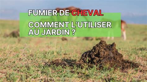 Lombricompostage du fumier de cheval