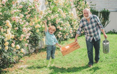 Enfant souriant jardinant avec un petit râteau