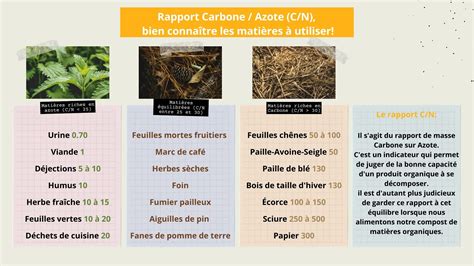 Infographie expliquant le rapport Carbone/Azote (C/N) pour différents types de paillis