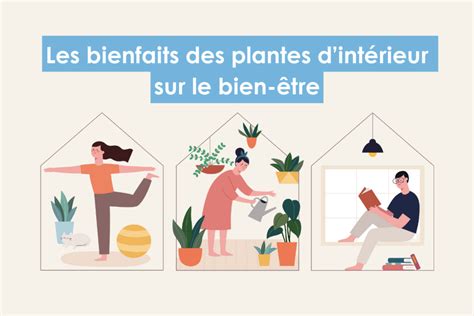 Infographie sur les bienfaits des plantes d'ornement pour l'environnement et le bien-être.
