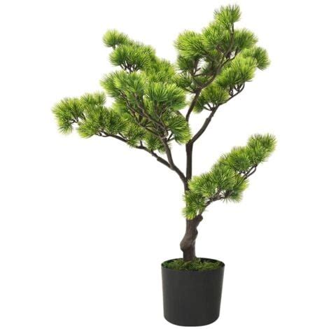 Bonsai de pin vert avec branches taillées