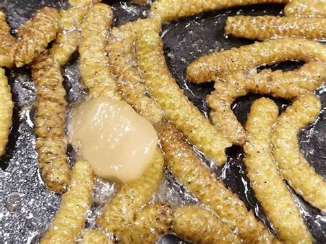 Préparation de chatons de noisetier grillés ou toastés