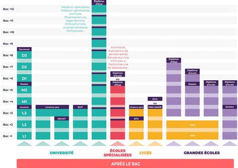 Organigramme des métiers accessibles après un Master en Agriculture