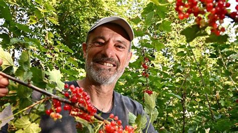 Frédéric Lantin dans sa pépinière