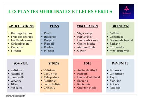 Tableau récapitulatif des vertus médicinales de l'Euphorbe