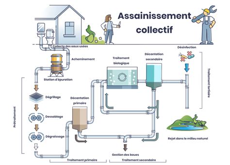 Schéma du processus de collecte et de traitement de la semence animale