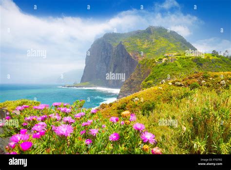 Paysage fleuri de Madère