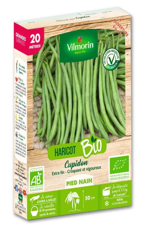 Sachet de semences de haricots verts bio