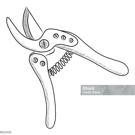 Illustration d'un sécateur à enclume